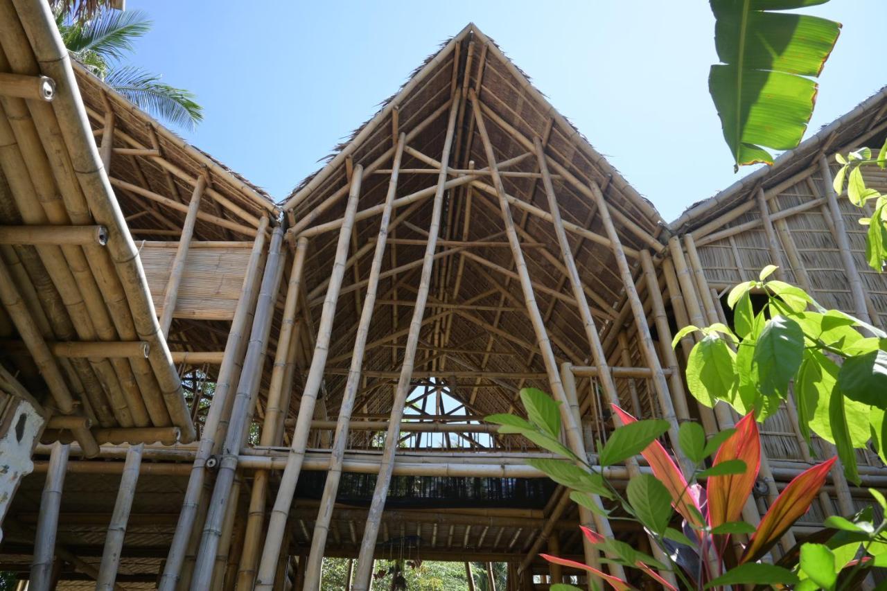 Mango Tree Eco-Hostel Dauin Dış mekan fotoğraf